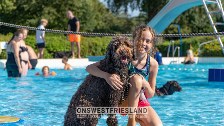 Honden genieten van frisse slotduik in De Wijzend in Zwaag [fotos]