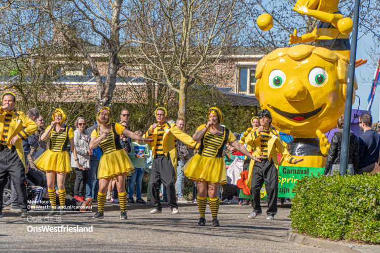 Grote Zwaagse carnavals Optocht; Zomerse zotheid in Zwaag [222 foto’s]