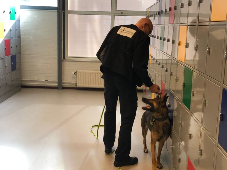 Drugshond slaat meerdere keren aan bij kluisjescontroles middelbare scholen Enkhuizen en Stede Broec