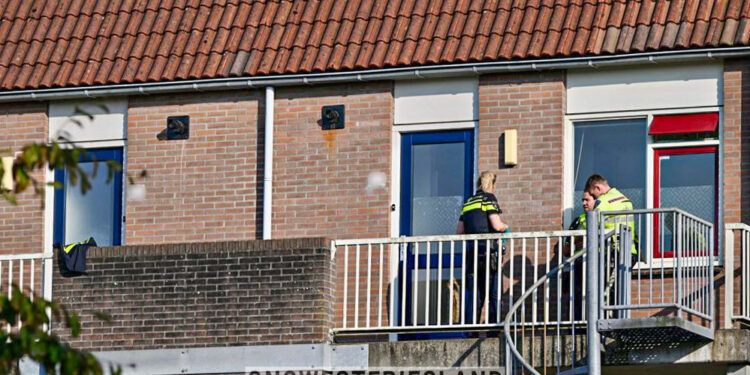 Katten uit zwaar vervuilde woning in Hoorn meegenomen