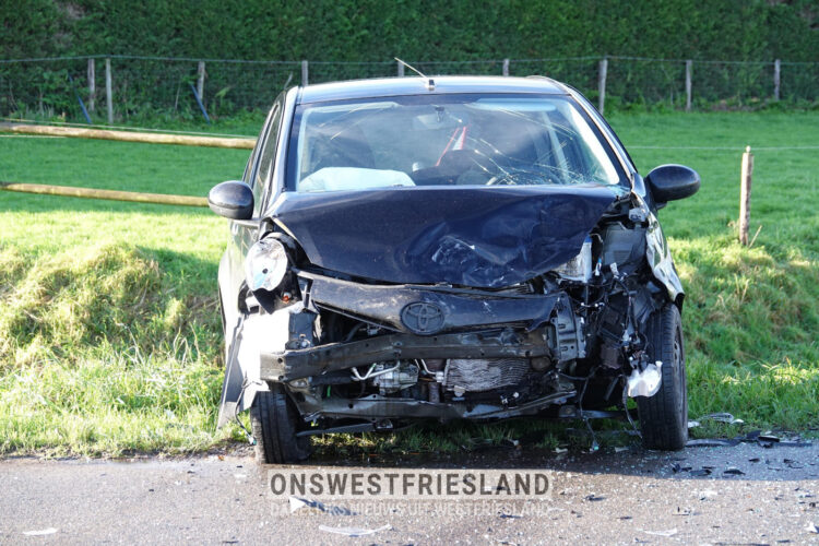 Auto te water na aanrijding in Andijk; inzittenden en drie honden ongedeerd