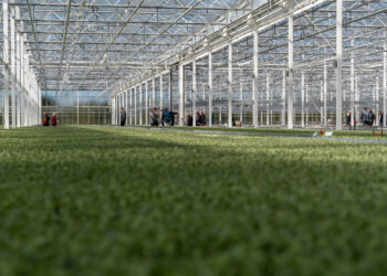 Gesprekken over toekomst land- en tuinbouw in Noord-Holland Noord
