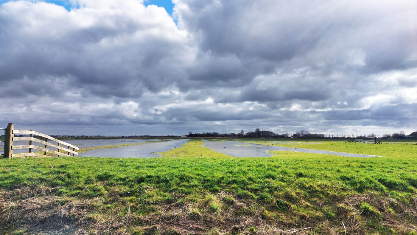 Zomerexpositie in Rundveemuseum: water, vriend of vijand?