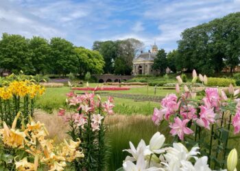 De Garden in Enkhuizen opent opnieuw de poorten naar een groene ontdekking