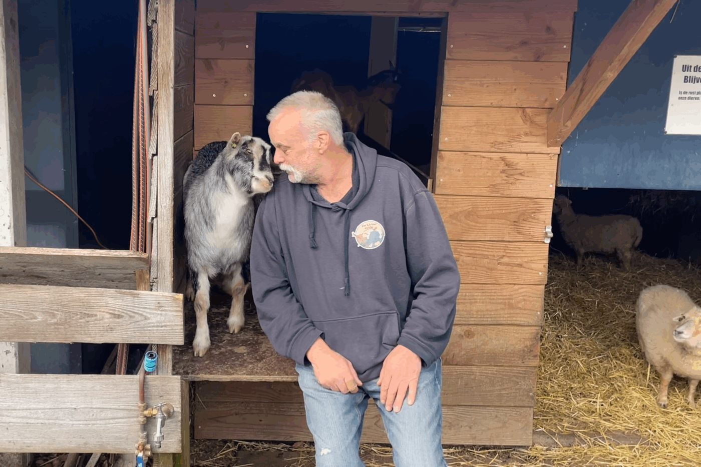 Kinderboerderij De Kleine Weide zoekt dringend vrijwilligers: “Anders houden we het niet vol”
