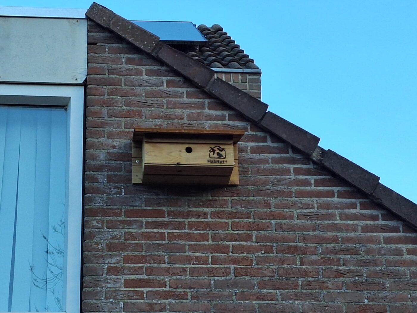 Medemblik zoekt woningen voor nestkasten van huismus en gierzwaluw